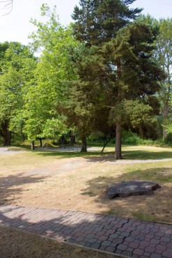 Buck Lake Native Plant Garden