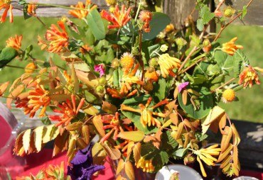 Buck Lake Native Plant Garden