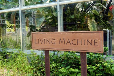 Living Machines