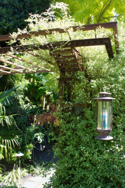The Paradise Garden of Jim and Sharon Moore