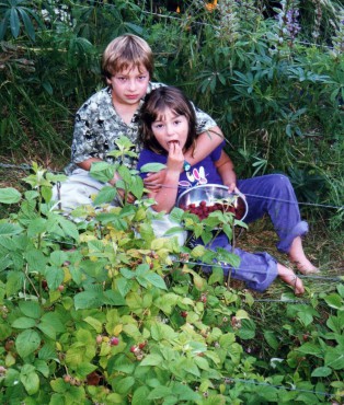 The author's kids enjoying raspberries after harvesting them — kids love taking ownership and enjoying the fruits of their own labor!