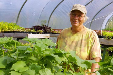 Nikki Johanson of Pheasant Fields Farm in her greenhouse full of veggie starts