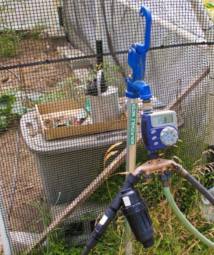 Irrigation hook-up at KCD that waters hoophouse and veggies.