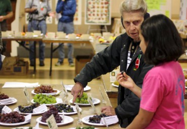 Fall Fruit Show 2015