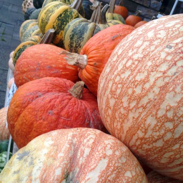 Pumpkins, anyone?