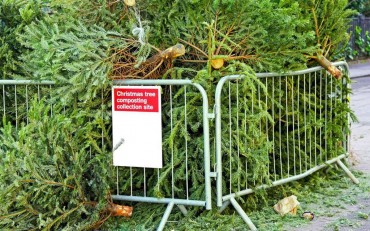 Tree Recycling