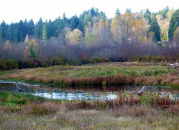 Great Peninsula Conservancy