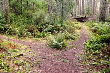 Harbor Family Park