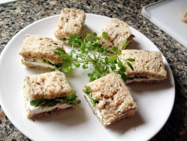 Shotweed (cardamine hirsuta) as filling in a tea sandwich with cream cheese and butter.