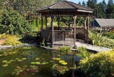 Pond or Water Feature