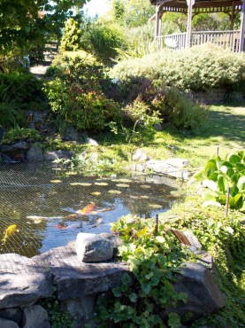 Pond or Water Feature