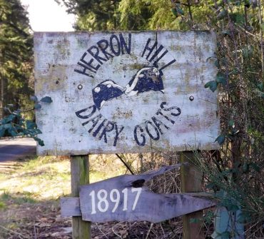 Herron Hill Goat Dairy