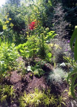 The Dr. Seuss-inspired garden of Ron Gillespie