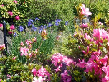 Gig Harbor Garden Tour