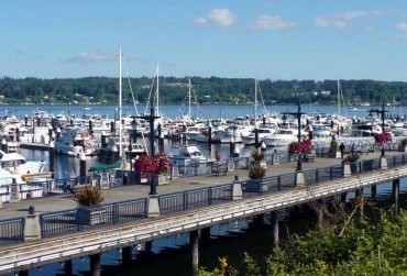 Rock the Dock