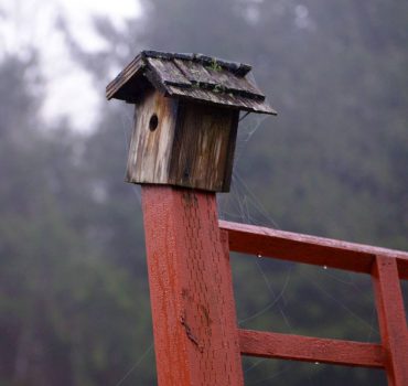 Harmony Hill Retreat Center