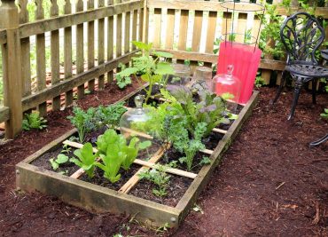 Square-Foot Gardening