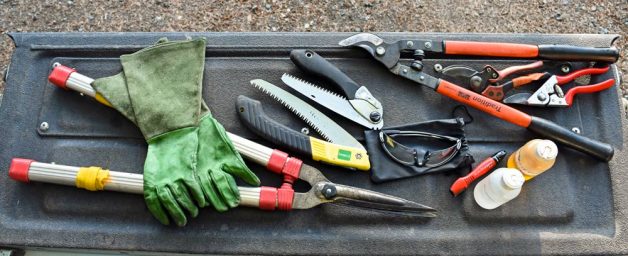 Good pruning tools and safety gear: bypass pruners, bypass loppers, sharpener and honing oil, alcohol, gauntlet leather gloves, safety glasses, folding saws, hedge clippers.