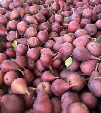 Star Crimson Pears — Just picked!