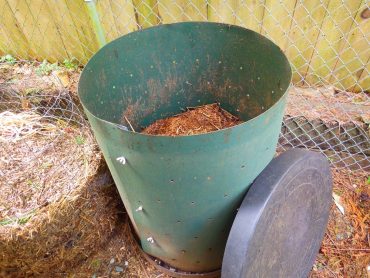 The beginnings of compost in a commercial covered bin