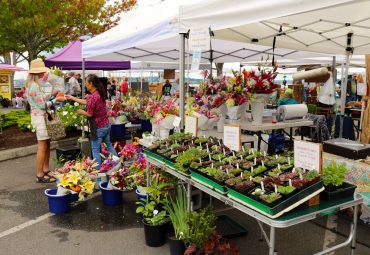 Why Farmers Markets are So Popular