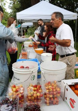 Why Farmers Markets are So Popular