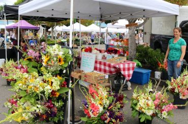 Why Farmers Markets are So Popular