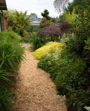 Border between garage and Zen garden