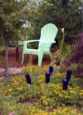 Blue bottles bottoms-up in sedum