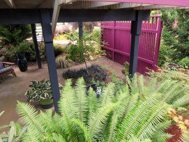 His under-front-deck Asian garden