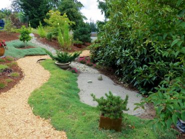 Zen garden, dry stream and “pool”