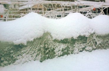 A polytunnel protects winter cold crops during an unusually heavy snowfall in Poulsbo. (Photo courtesy Gayle Larson, Dancing Raven Design)