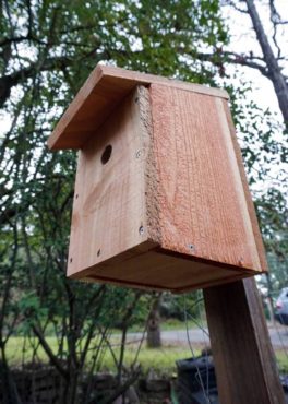 Birdhouse