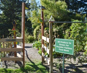 Raab Park youth garden. Kids learn by getting their hands in the soil and help feed those in need.