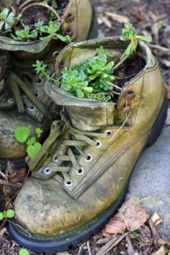 Raab Park youth garden. Recycling at its best. Anything can become a flower pot!