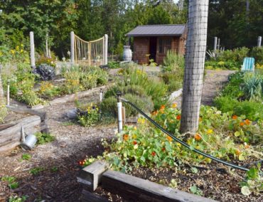 Wacky Nut farm community garden. Garden beds and other structures are made from trees felled on the property.