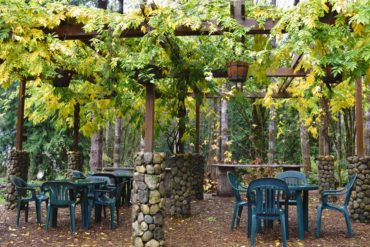 Rock Farm community garden. Rocks collected from the garden form the gabion bases for a wonderful space for gatherings.