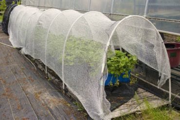 Shade cloth hoop