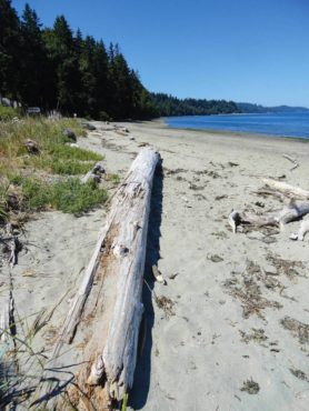 Wide, sandy beach at Anderson Point