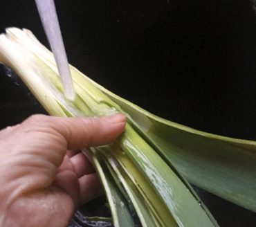 Cleaning leeks under running water