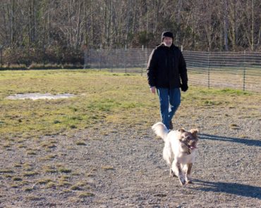 Kitsap Dog Parks