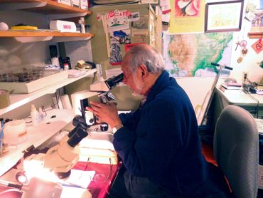 Olaf Ribeiro spends many long hours in front of a microscope.