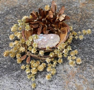 Golden hops vine (Humulus lupilus 'Aureus') was wound into a wreath then hung to dry. The now-brittle wreath cradles a hand-turned wood bowl filled with bigleaf maple seeds (Acer macrophyllum) and a chunk of colorful stone.