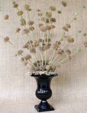 A footed, glass vase filled with horehound (Marrubium vulgare) stems has a whimsical form. The stems remain in place thanks to florist foam hidden with lacey lichen.