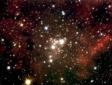 Star cluster (Photo courtesy Steve Ruhl, Bainbridge Astronomical Association)