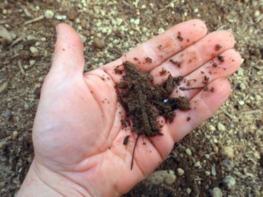 Moist soil stays "balled up" when squeezed.