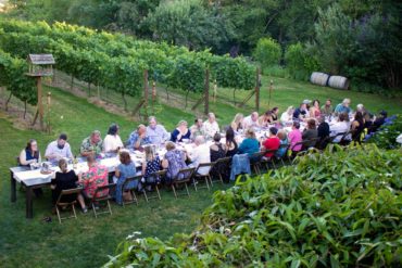 Dinner in the Vinyard