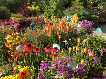 Enchanting, Colorful Garden comes from Creative Evolution