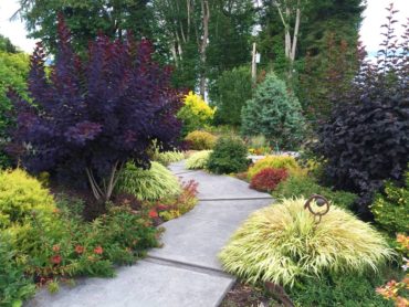Enchanting, Colorful Garden comes from Creative Evolution
