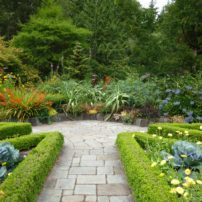 The hardscape and tightly clipped boxwood edging make a big impact at the Heronswood garden in Kingston, regardless of the season.